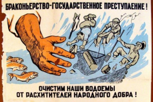 Borbena povreda Borbena povreda